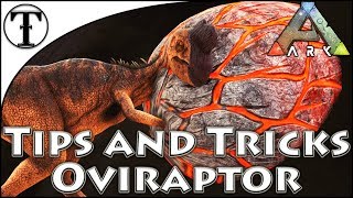 Fast Oviraptor Taming Guide  Ark  Survival Evolved Tips and Tricks [upl. by Notsirk]