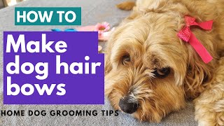 How To Make Dog Grooming Bows [upl. by Eet]