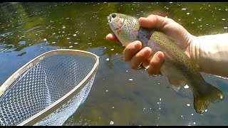 FLY FISHING Lackawaxen River PA MAY 2023 [upl. by Vasileior]