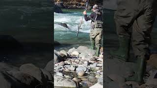 I caught a salmon in a huge currentI ❤️ salmon fishing Vedder river Canada 🇨🇦 12 [upl. by Yromas]