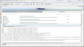 01 Adding Liferay Portal Server to Netbeans [upl. by Nah]