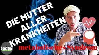 metabolisches SyndromDie Mutter Aller Krankheiten [upl. by Veneaux]