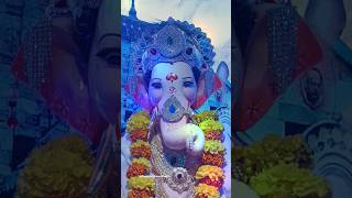 Lalbaugcha Raja Ganpati Mazha  Live Darshan RatanSadan ganpatibappamorya [upl. by Nonnel]