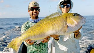 GIANT Golden Tilefish and Swordfish Fishing [upl. by Iana]