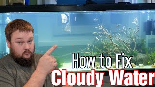 Cloudy aquarium water  how to fix it [upl. by Knuth]