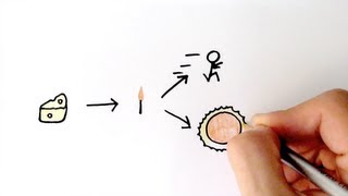 Energy Transfer and Efficiency  GCSE Physics  Doodle Science [upl. by Filia]