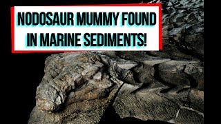 PaleoMania Ep 7  Nodosaur Mummy Found in Marine Sediments [upl. by Shermie300]