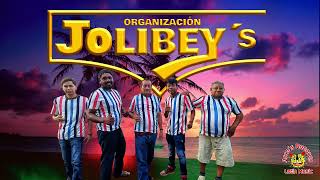 Organización Jolibeys  Adiós Rosita [upl. by Ravert]