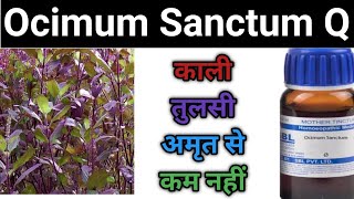 Ocimum sanctum q Ocimum sanctum mother tincture benefits in hindi [upl. by Cirde858]