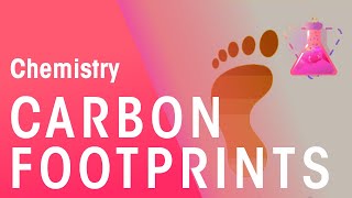 What Are Carbon Footprints  Environmental Chemistry  Chemistry  FuseSchool [upl. by Ellierim]