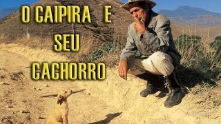 Piada  O caipira e seu cachorro [upl. by Phebe485]