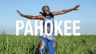 PAHOKEE Official Festival Trailer 2019 [upl. by Enra978]