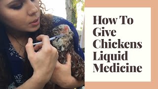 How To Give Chickens Liquid Medicine  The Urban Lady Bug [upl. by Sollars]