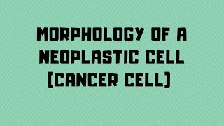 Morphology of Neoplastic Cell Cancer cell  Pathology  Second Year Med School [upl. by Atoiyanap918]