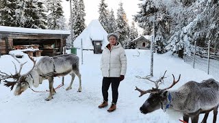 Lapland Experience 2023 Ruka Kuusamo [upl. by Chubb]