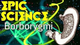 Borborygmi  Epic Science 7 [upl. by Llyrrad]