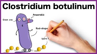 Clostridium botulinum Simplified Morphology Pathogenesis Types Clinical features [upl. by Cchaddie958]