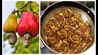 Cooking Raw Cashew Nut Curry with Village Style  Cooking Special [upl. by Lewls267]