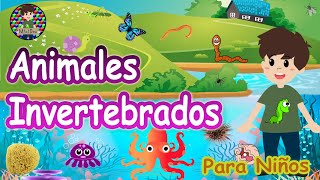 ¿Qué son los invertebrados🐙🐛🦋🐌Animales invertebrados para niños Explicación sencilla con ejemplos [upl. by Cowles747]