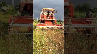 DASMESH 9100 COMBINE SOYABIN KATAI HARVESTER SHORTS VIRAL COMBINE HARVESTER DASMESH [upl. by Hammel]