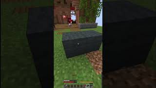 What were they doing minecraft bedwars [upl. by Gertruda]