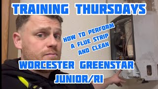 How to Full Service The Worcester Greenstar Junior and RI Training Thursdays [upl. by Noy]