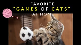 Favorite Games of Cats at Home  Cat Play and Entertaining Games [upl. by Ardelle]