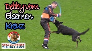 WUSV 2017 Winner Reiner Naschke Debby vom Eisernen Kreuz C Protection 94pts [upl. by Zailer]