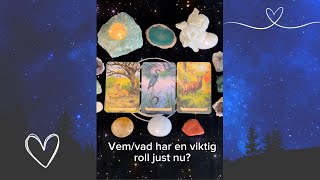 Vemvad har en viktig roll just nu 🙏😍❤️🤗✨TAROT✨PICK A CARD [upl. by Hiett]