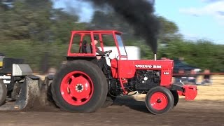 Volvo BM 650 Turbo  Tractor Pulling Rærup 2015 [upl. by Kalli]