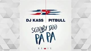 DJ Kass Feat Pitbull  Scooby Doo Pa Pa Remix Audio [upl. by Synn339]