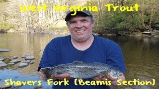 Trout Fishing West Virginias Shavers Fork [upl. by Esiuole]