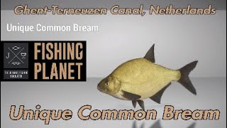 Unique Common Bream  GhentTerneuzen Canal Netherlands  Fishing Planet Guide [upl. by Egres377]