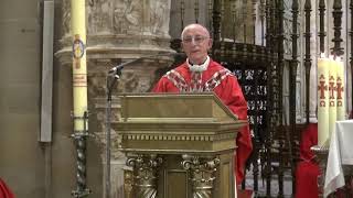 Santa Misa en la catedral de Siguenza 25 [upl. by Innaig]