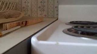 Mobile Home Bathroom floor repair [upl. by Imac]