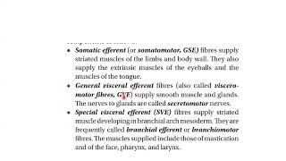 Head amp Neck Anatomy day 2 part B by Dr Farhat Amir [upl. by Ayahc]