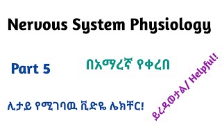 Physiology Neurophysiology General Nervous Tissue Part 5 Video Lecture in Amharic Speech [upl. by Oloapnaig]