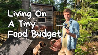 Saving Money With Self Sufficiency  My 3 Strategies for Low Cost Living On A Tiny Food Budget 💰🥦🍗 [upl. by Grete]