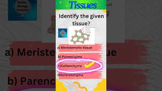 Collenchyma  Plant tissues  Tissues  Class 9 Science  shorts [upl. by Htbazile]