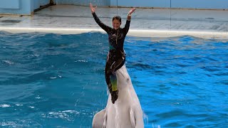 Beluga Dolphin show：Yokohama Hakkeijima Sea Paradise シロイルカショー「LIGHTIA」：横浜・八景島シーパラダイス ※20230330 [upl. by Eeldarb]