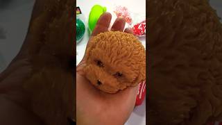 Asmr SQUISHES💥TABA SQUISHES Doggy🐶🐾squishysensation squish unboxing antistress [upl. by Yltsew]