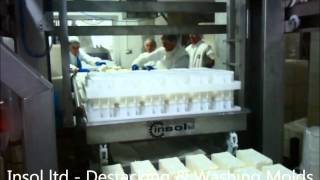 Insol Dairy Machinery  White Feta Cheese Production Line [upl. by Noemys]