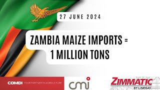 Zambia to import 1 million tons of maize  27 June 2024 [upl. by Regnig163]