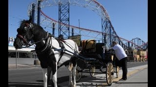 Horse Drawn Carriage Ride along the Golden Mile Blackpool [upl. by Edgardo697]