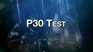 P30 Test [upl. by Britney]