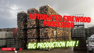 Day 127  Fuelwood Factory POV Big Day Processing [upl. by Axe265]