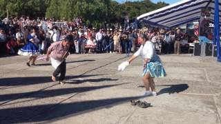 Cueca campesina en Ninhue fiesta de la vendimia [upl. by Aibar559]