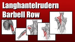 How 2 Langhantel Rudern Barbell Rows [upl. by Adnicul]