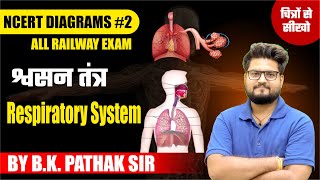 Respiratory System श्वसन तंत्र NCERT Diagrams For RRB Railway Exam By BK Pathak Sir [upl. by Ynetruoc832]