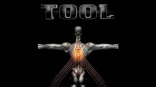 Tool  Salival Full Box Set [upl. by Analim]